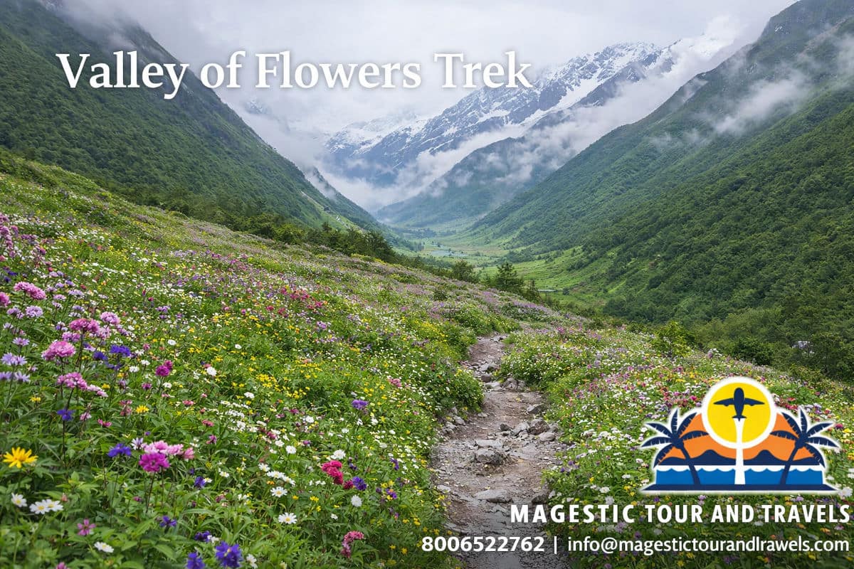 Valley of Flower Trek Package 2026