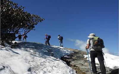 ๐ฏ Activities in Chopta โ Trekking, Camping & Adventure Guide (2026)