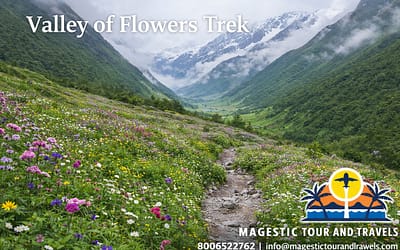 🏕 Valley of Flowers Trek 2026 | Best Package, Cost & Itinerary